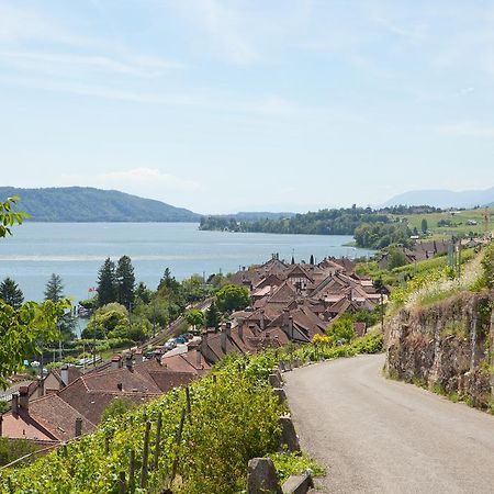 Alpes Et Lac La Neuveville Exterior photo
