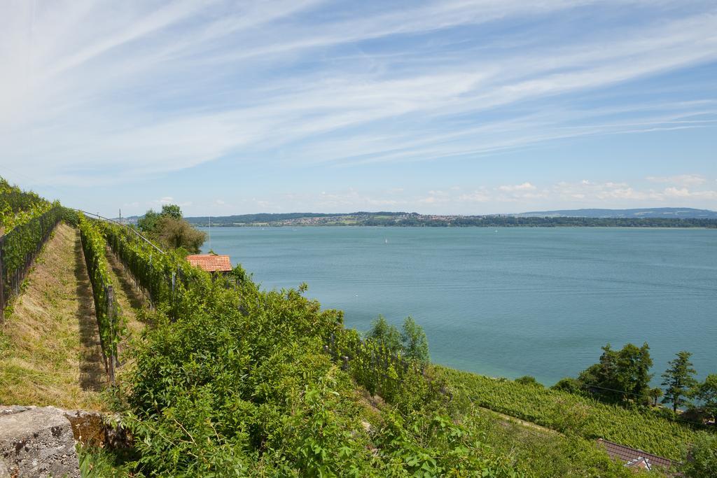 Alpes Et Lac La Neuveville Exterior photo